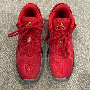 Like new Labron James Adidas issue #2 size 9.5
